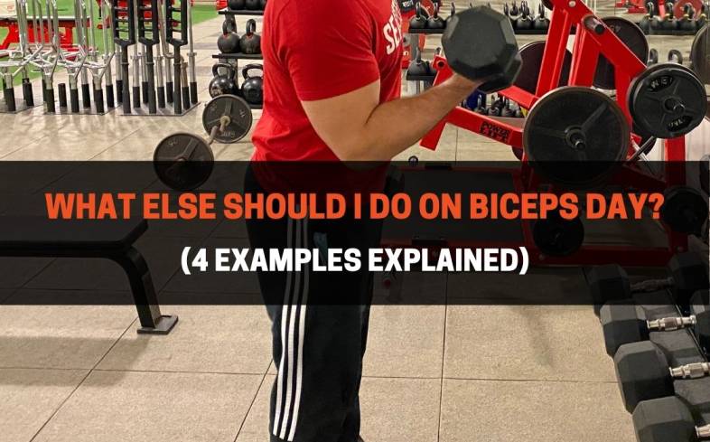 What Else Should I Do On Biceps Day (4 Examples Explained)