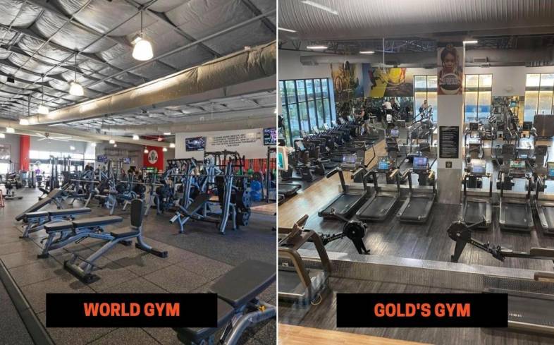 World Gym vs Gold's Gym Differences