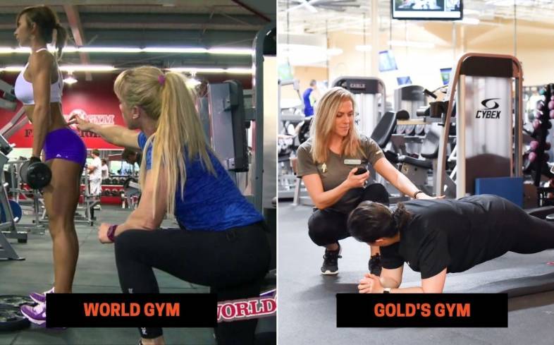 World Gym vs Gold's Gym Personal Training