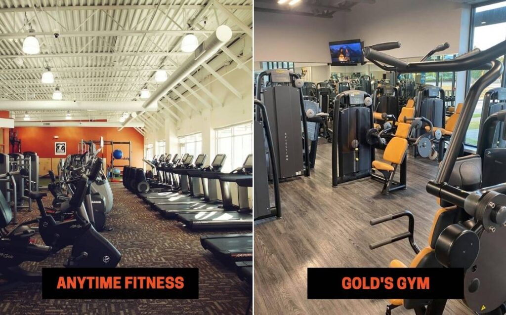 Anytime Fitness vs Gold’s Gym Equipment