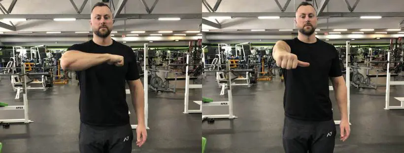 Bench press muscles also include triceps, lateral, medial, and long head.