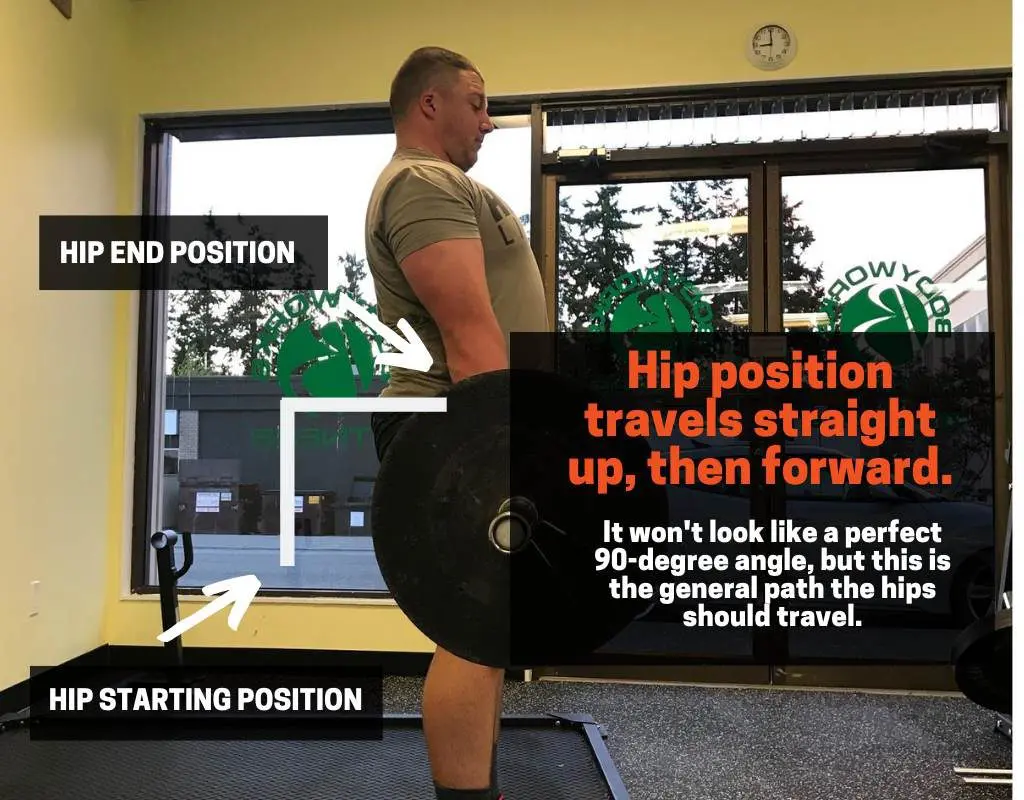 muscles worked in the deadlift