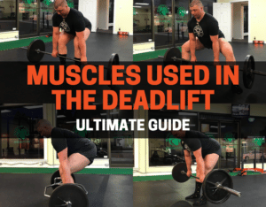 muscles used in the deadlift