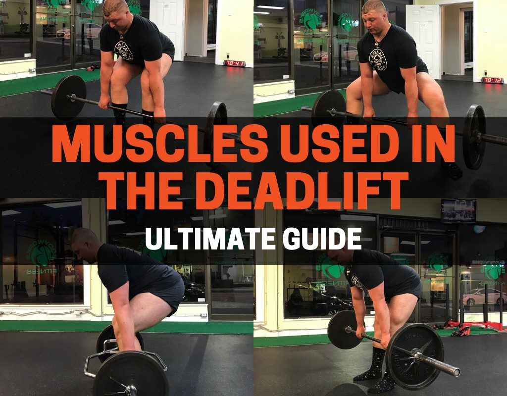 muscles used in the deadlift