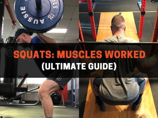 Squats: Muscles Worked (Ultimate Guide)