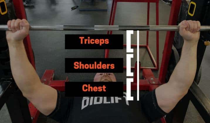 Tricep muscles in bench press