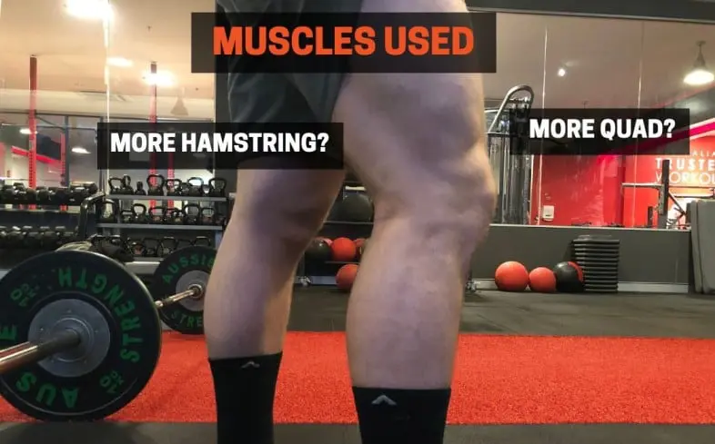 Presión de piernas vs. sentadilla: ¿qué músculos se utilizan?