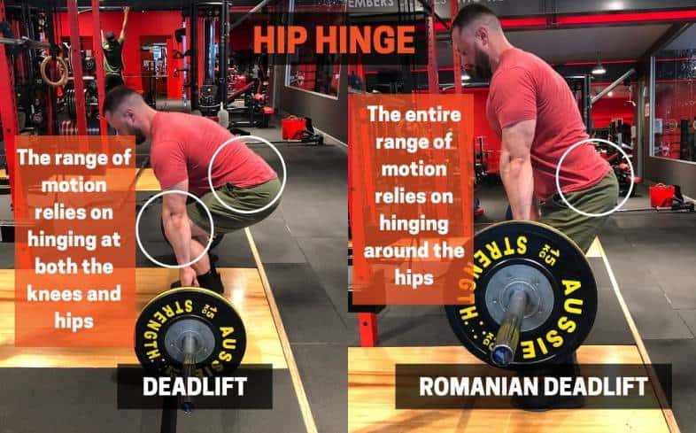 The hip hinge is more prominent in the romanian deadlift compared with the deadlift.