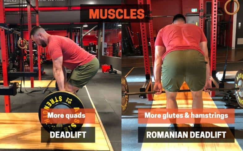 The romanian deadlift uses more glutes and hamstrings vs the deadlift whih uses more quads.