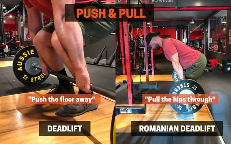 The deadlift is treated as a 'push' whereas the romanian deadlift is trated as a 'pull'