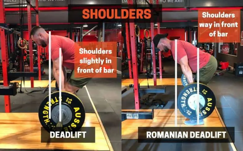 the shoulder position for the deadlift and romanian deadlift are different.