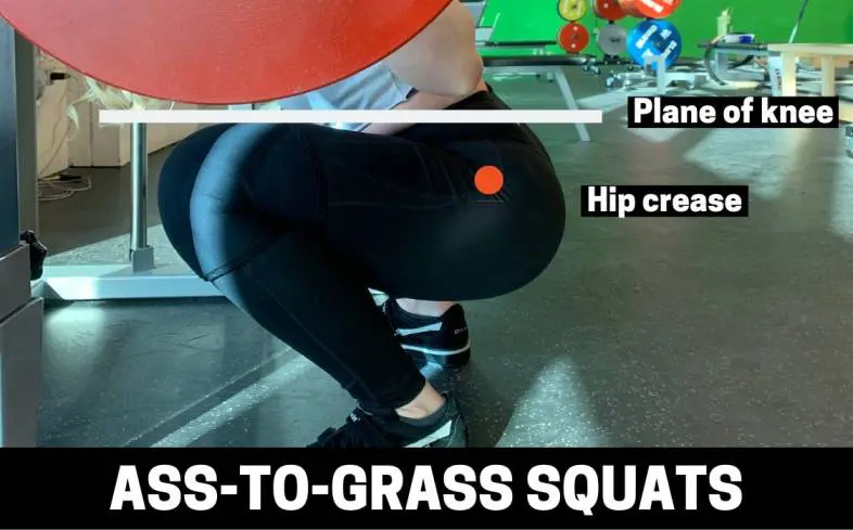 WHAT ARE ASS TO GRASS SQUATS