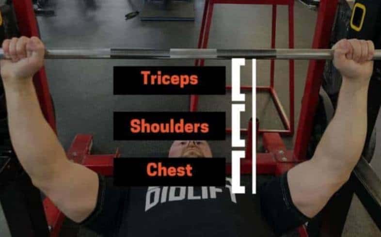 The triceps are involved in the bench press lockout