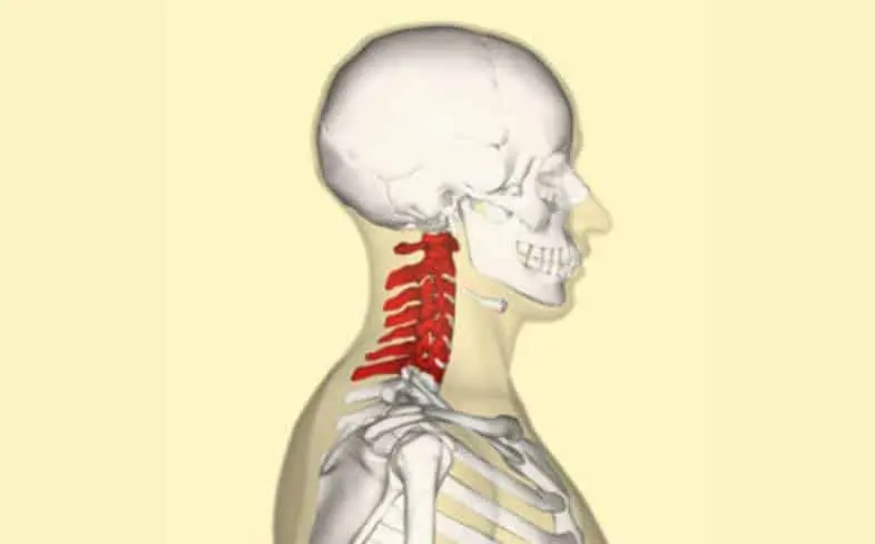 pain in the neck can be attributed to a barbell position that is too high on the back