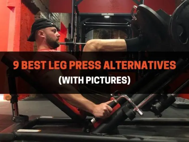 9 Best Leg Press Alternatives (With Pictures)