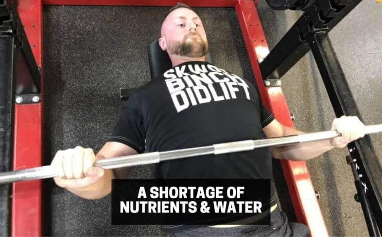 a shortage of nutrients and water can lead to premature muscular fatigue