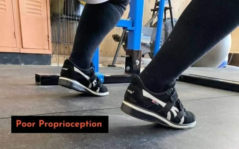 proprioception is the body’s ability to perceive how we move in space, including our sense of equilibrium and balance