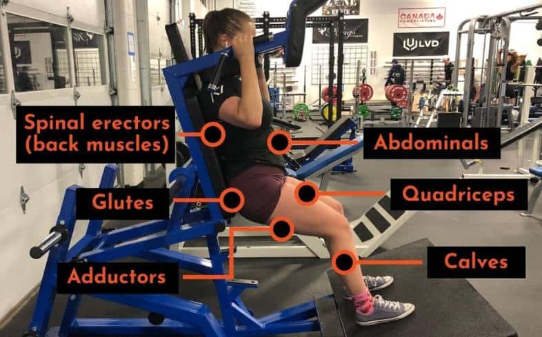 muscles-used-in-the-hack-squat-powerliftingtechnique