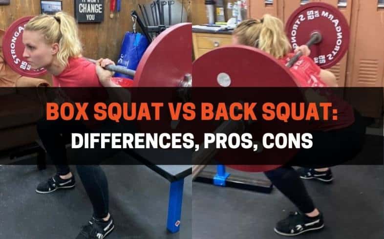 differences between the box squat vs regular squat