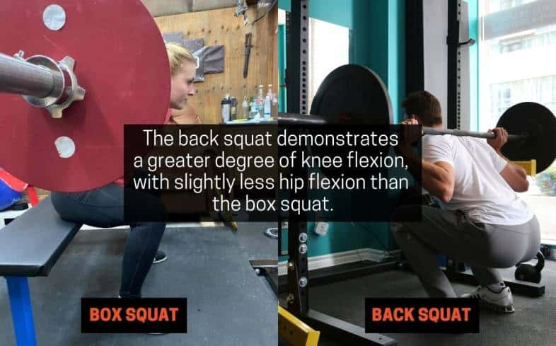 back squat demonstrates a greater degree of knee flexion, with slightly less hip flexion than the box squat