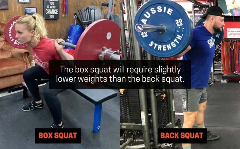the box squat will require slightly lower weights than the back squat