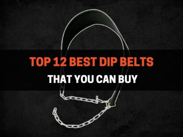 Top 12 Best Dip Belts That You Can Buy in 2022