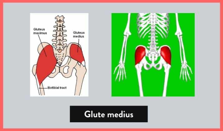 another potential cause for knee valgus is having weak external hip rotators