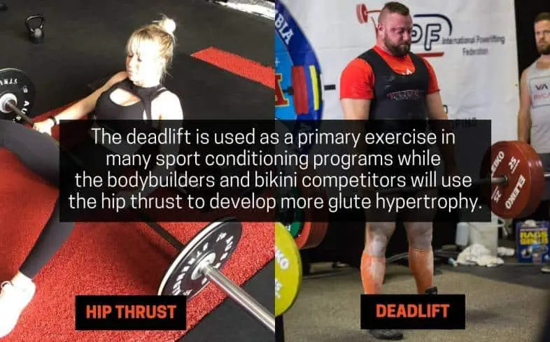 sport specificity in hip thrust versus deadlift