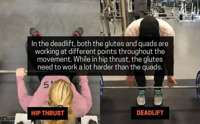movement pattern in hip thrust versus deadlift