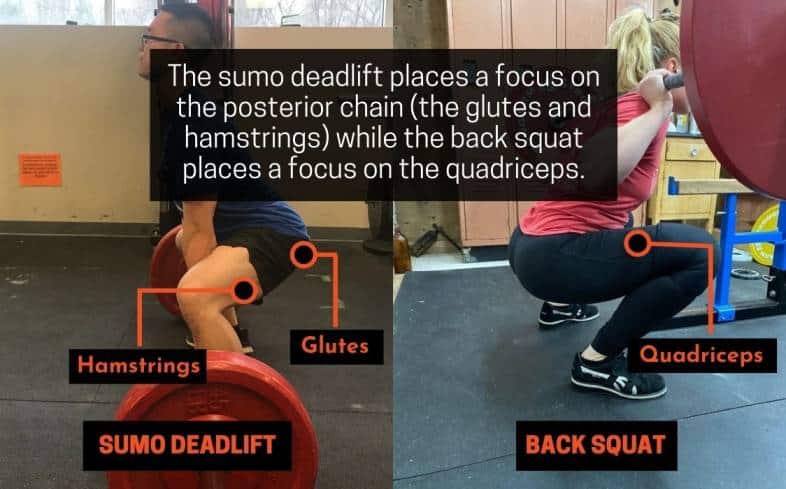 the sumo deadlift places a focus on the the glutes and hamstrings while the back squat places a focus on the quadriceps