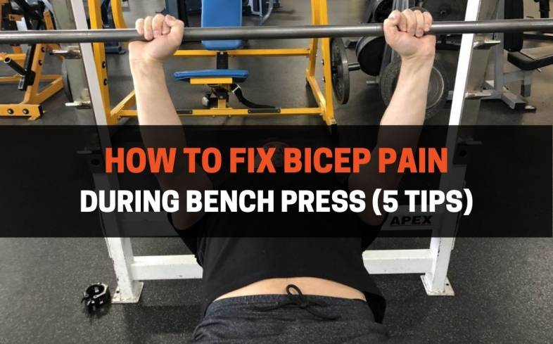 Does bench discount press build biceps