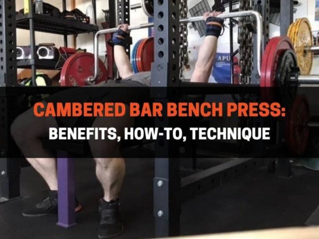 Cambered Bar Bench Press:  Benefits, How-To, Technique