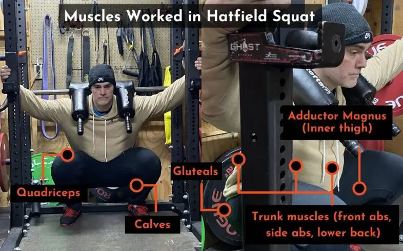 the muscles used in the hatfield squat