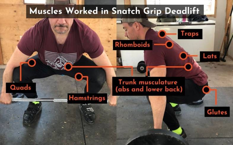 the muscles used in the snatch grip deadlift