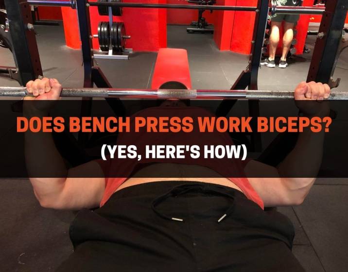 Does Bench Press Work Biceps
