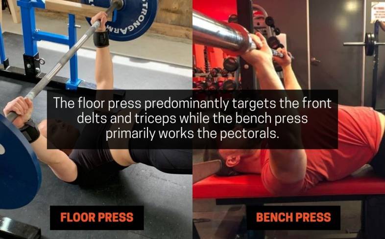 muscles worked on floor press versus bench press