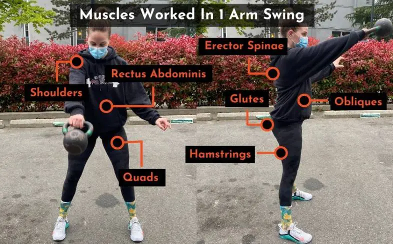 muscles worked in the 1 arm swing