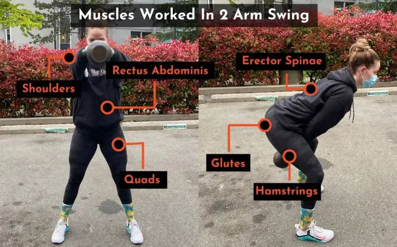 muscles worked in the 2 arm swing