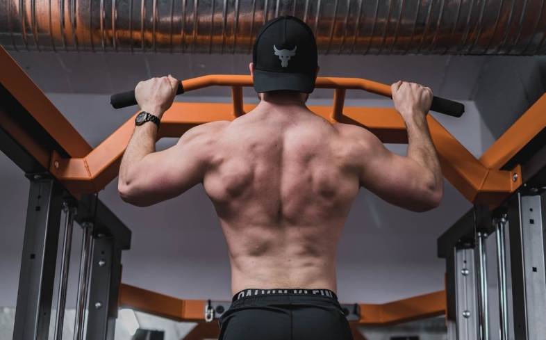 Pull ups back discount workout