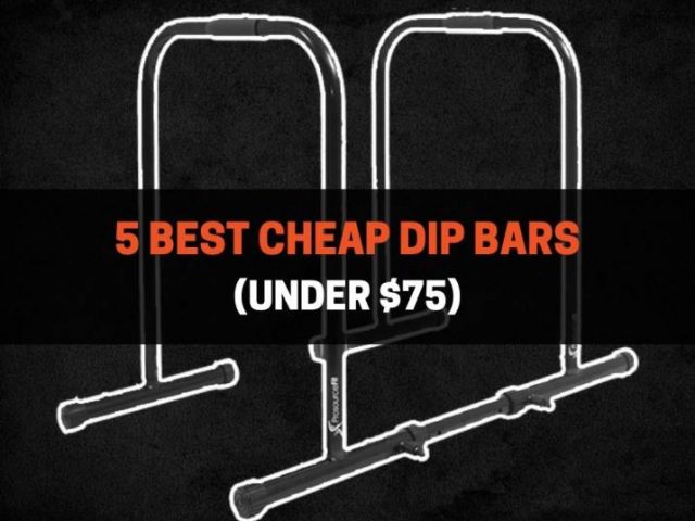 5 Best Cheap Dip Bars (Under $75)