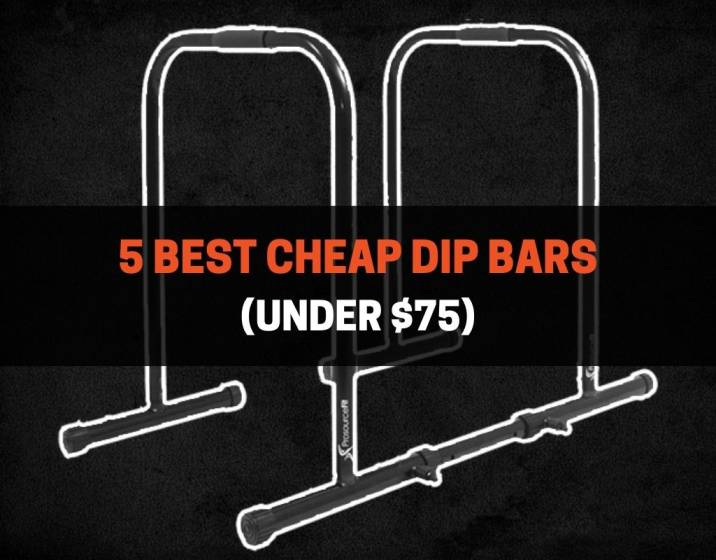 5 Best Cheap Dip Bars