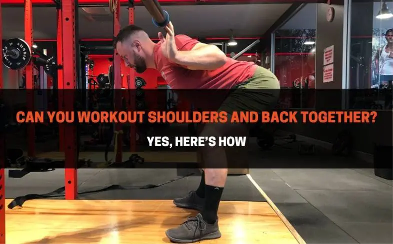 training shoulders and back is safe and effective and can lead to gains in both strength and mass when programmed properly