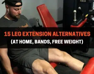 15 Leg Extension Alternatives