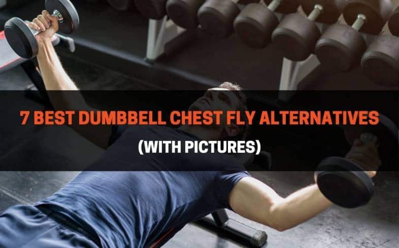 best dumbbell chest fly alternatives