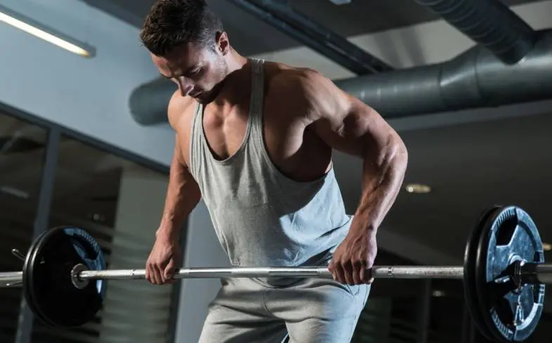 the barbell row produce strength and size in the muscles of the back