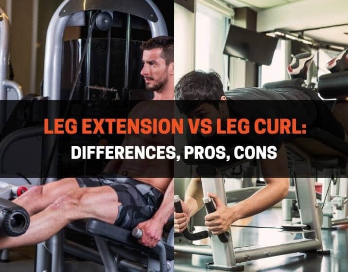 Leg Extension vs Leg Curl