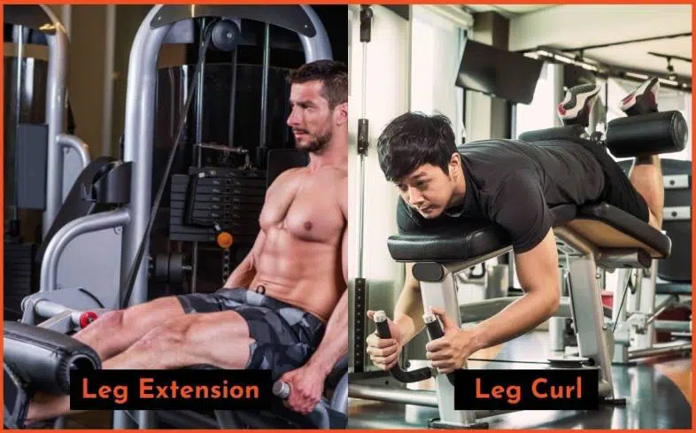 which exercise is best for you - leg extension vs leg curl