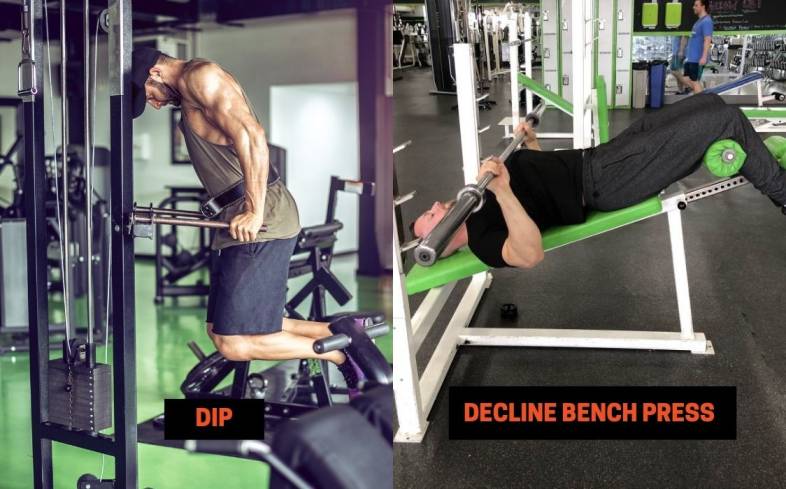 the vertical position of the dip allows for one to lift less weight while the horizontal position of the decline bench press, allows you to lift more weight
