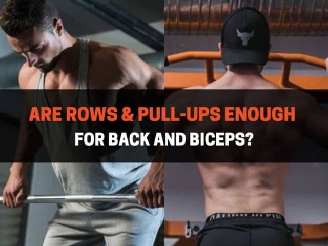 Are Rows & Pull-Ups Enough For Back And Biceps?