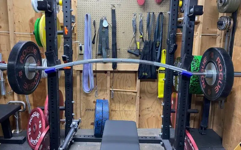 buffalo bar are bars with a curve to them so that you can train through an increased range of motion